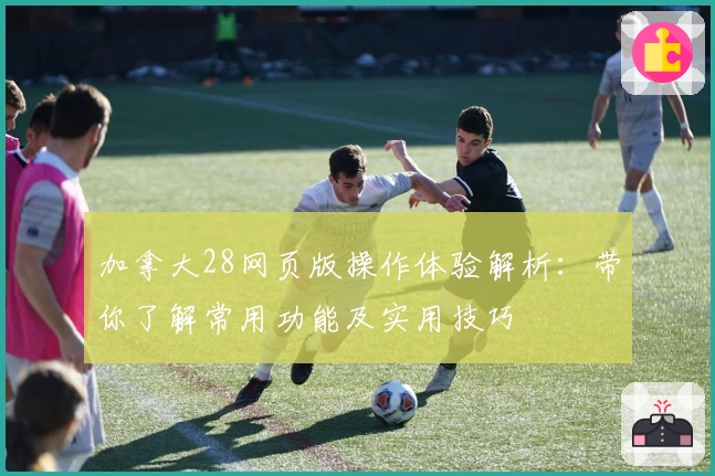 加拿大28网页版操作体验解析：带你了解常用功能及实用技巧