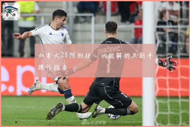 加拿大28预测核心功能解析及新手操作指南