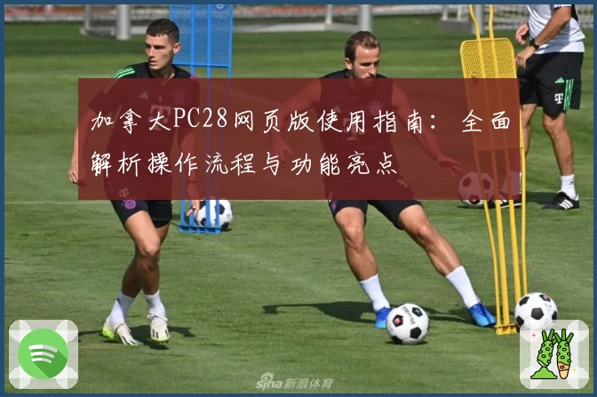 加拿大PC28网页版使用指南：全面解析操作流程与功能亮点
