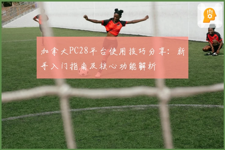 加拿大PC28平台使用技巧分享：新手入门指南及核心功能解析