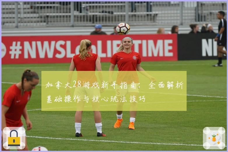加拿大28游戏新手指南：全面解析基础操作与核心玩法技巧
