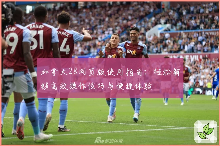 加拿大28网页版使用指南：轻松解锁高效操作技巧与便捷体验