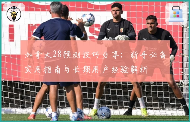 加拿大28预测技巧分享：新手必备实用指南与长期用户经验解析