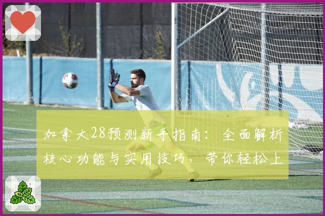 加拿大28预测新手指南：全面解析核心功能与实用技巧，带你轻松上手体验