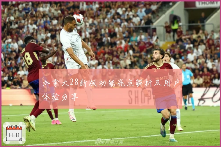 加拿大28新版功能亮点解析及用户体验分享