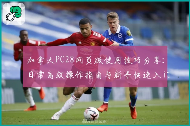 加拿大PC28网页版使用技巧分享：日常高效操作指南与新手快速入门步骤解析