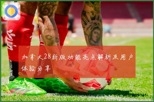 加拿大28新版功能亮点解析及用户体验分享