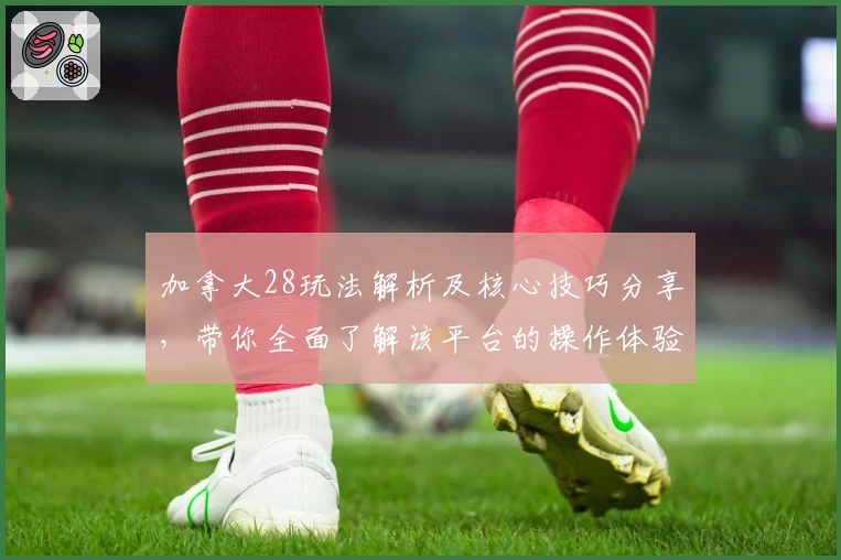 加拿大28玩法解析及核心技巧分享，带你全面了解该平台的操作体验与常见问题解答