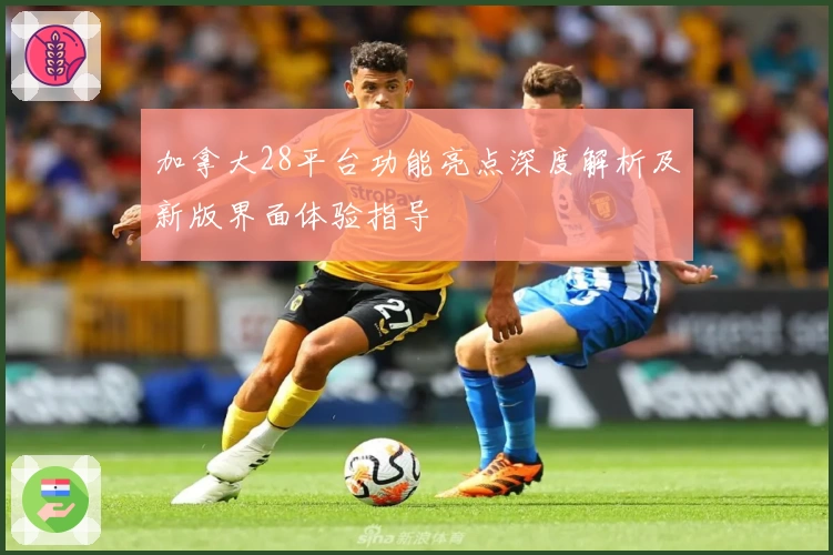 加拿大28平台功能亮点深度解析及新版界面体验指导