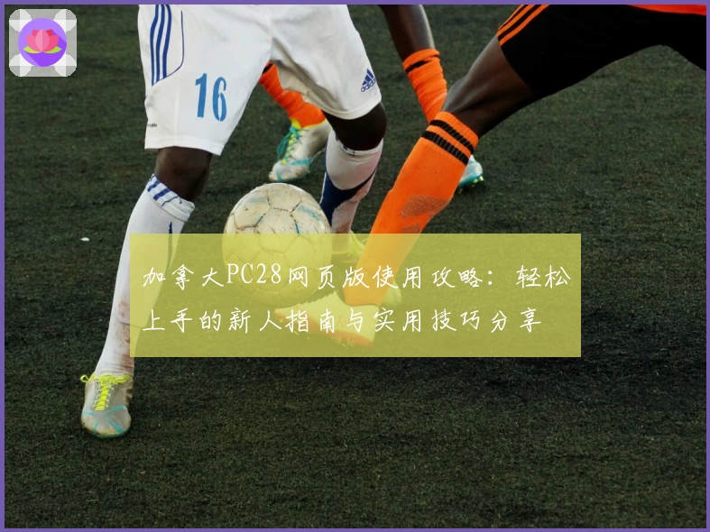 加拿大PC28网页版使用攻略：轻松上手的新人指南与实用技巧分享