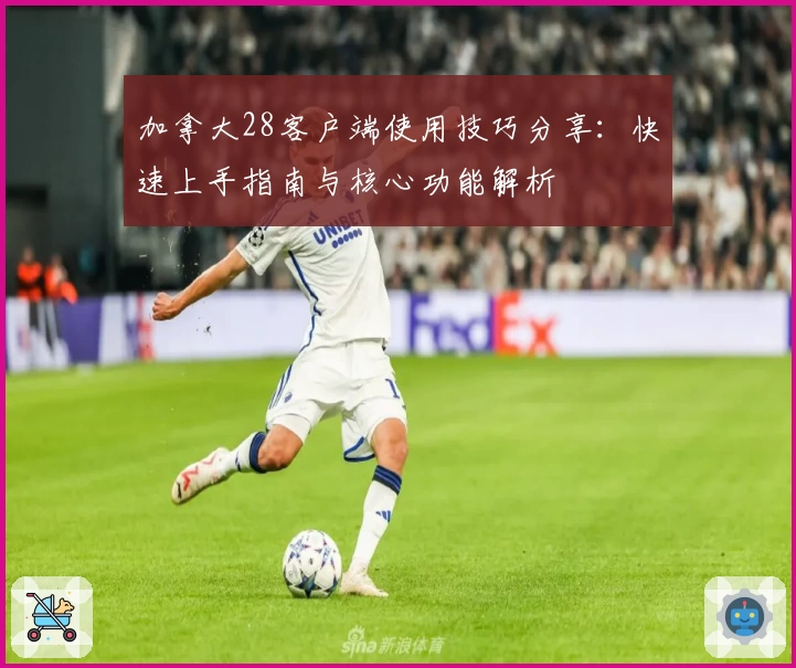 加拿大28客户端使用技巧分享：快速上手指南与核心功能解析