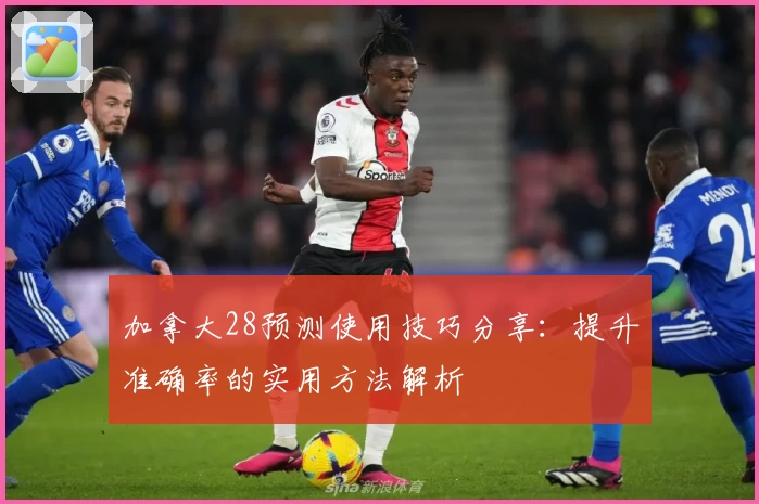 加拿大28预测使用技巧分享：提升准确率的实用方法解析