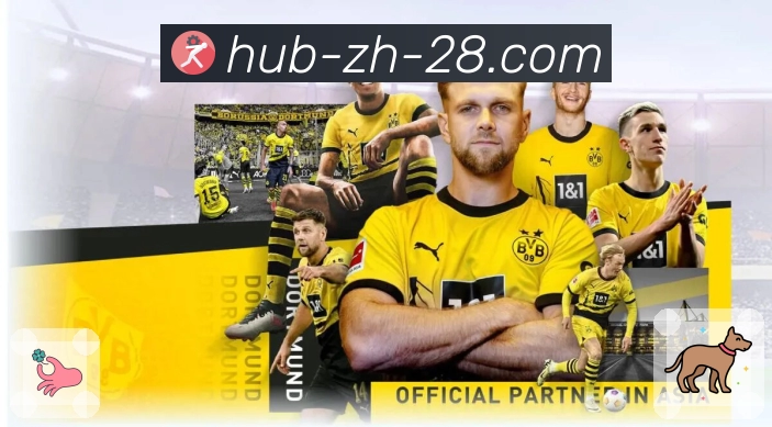 加拿大28APP，让每次操作更流畅自然